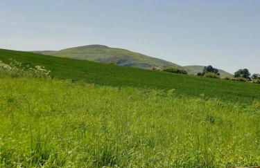 The Humble Hut - Photo 35