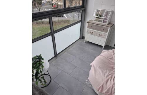 Holiday apartment in Hanau with swimming pool - Foto 1