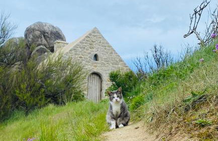 Alice Cottage - Foto 39