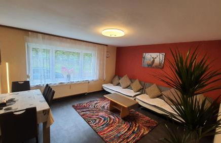 Two-Bedroom Apartment near Triberg Waterfall - Foto 1