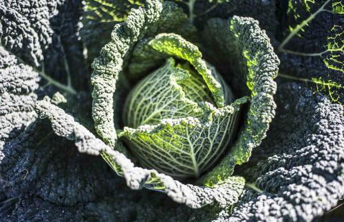 Azienda Agrituristica Alcastlè - Foto 55