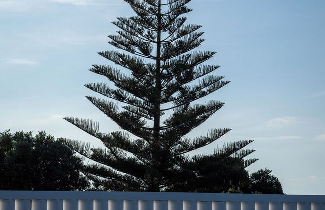 ENTRE MUROS - Foto 29