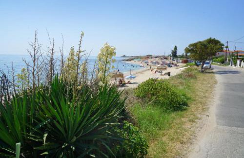 Avdira Seaside House - Photo 35