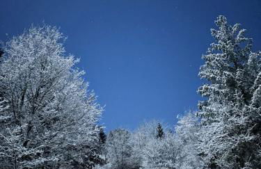 Chalet - gîte avec étang - Foto 20