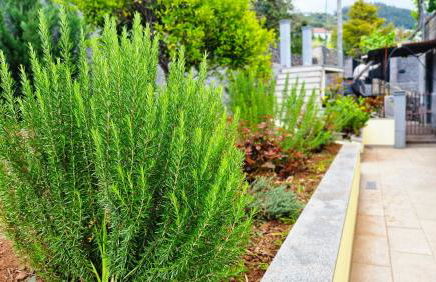 Capela's House by LovelyStay - Foto 44