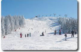 Chalet Monts Jura - Foto 28