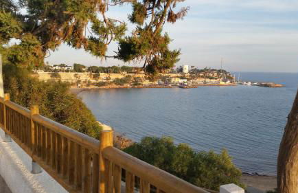 Aalia villa - Foto 19