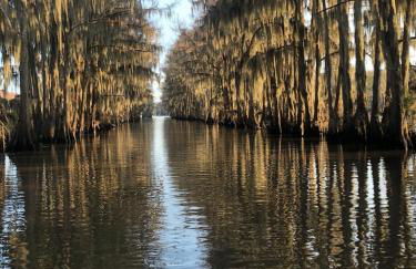 Cypress ChaletCaddo Lake Cabin with Kayaks - Foto 18