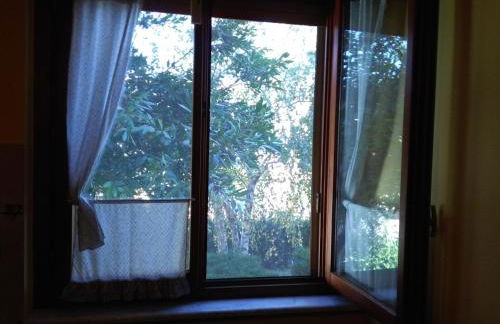 Il gelsomino del Perugino - Photo 45