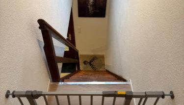 Ferien im Schwarzwald Dörlinbach II - Foto 3