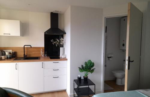 RELAI DU CHATEAU DE LA TOURLANDRY - Foto 39