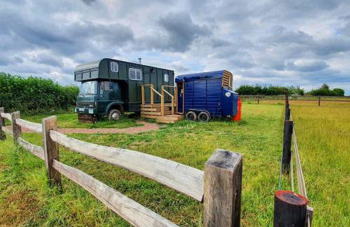 Bertha's Box - Foto 1