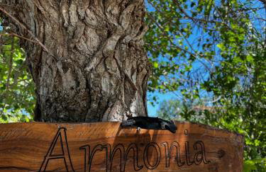 Armonia Apartments & Studios - Foto 31