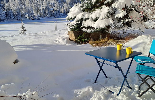 Alpes et Lac 2 - Foto 22