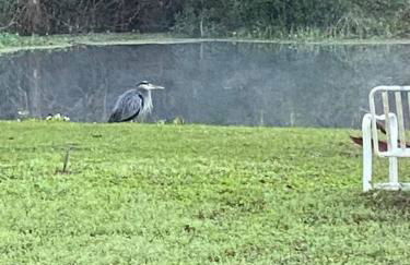 Professor Rousseau's Tiki Hideaway - Foto 42