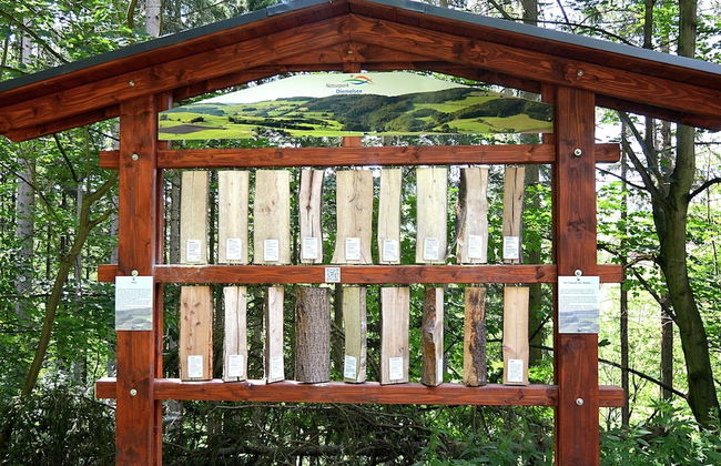 Vibrant Apartment in Willingen With Private Terrace - Photo 51