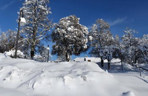 Ferienwohnung am Brunnen - Photo 11