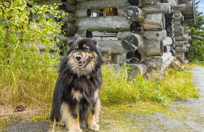 Vilkkuna 20 a - Foto 10