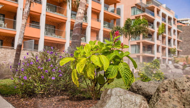 Arguineguin Park By Servatur - Foto 2