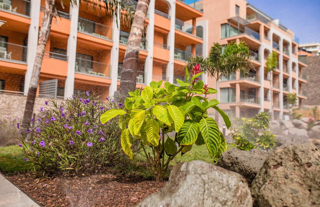 Arguineguin Park By Servatur - Foto 2