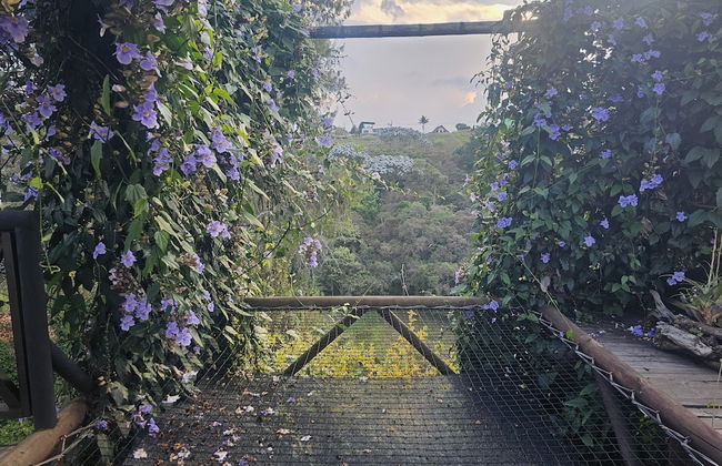 finca hotel zona 7 - Foto 39