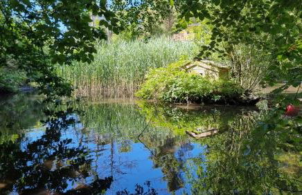 The Duck House - Foto 23