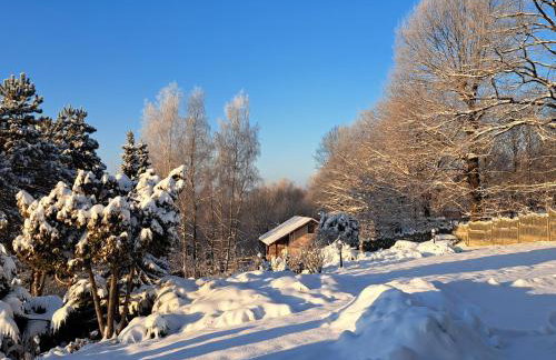 Brzozowy Zakątek - Foto 6