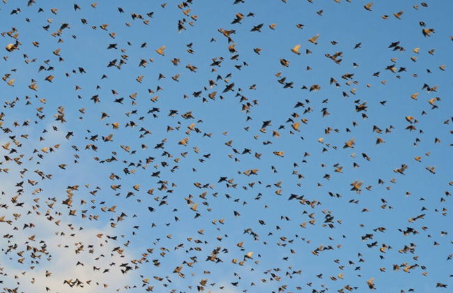 North Sea House Schillig - Foto 18