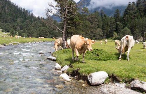 Le Gypaète, t1 bis, vue montagne, wifi, ascenseur, balcon, 6 personnes - Foto 18