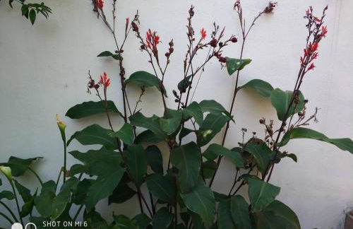 Apartment Alacas Sevilla - Photo 25