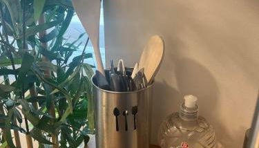 FLORA,centre Reims,parking privé - Foto 2