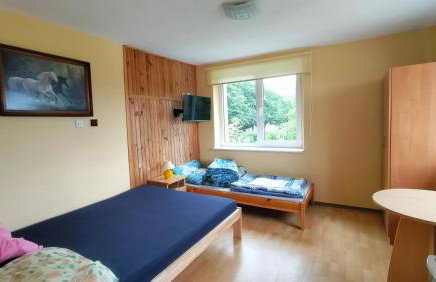 Pokoje Gościnne Danusia - Foto 19