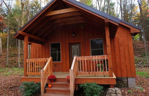 Cozy Three-Bedroom Cabin Near The Salmon River in Altmar, New York - Foto 16