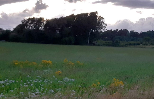 5 Person Holiday Home in Falkenberg - Foto 9