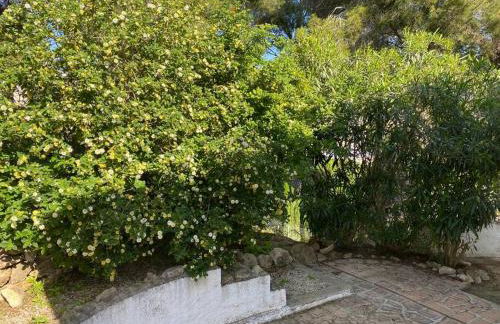 Bonita casa independiente cerca de la playa - Foto 32