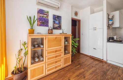 Apartman Neda - Foto 11