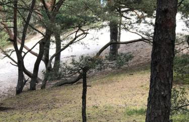 Apartament Ustecka Ostoja Na Wydmie - Foto 18