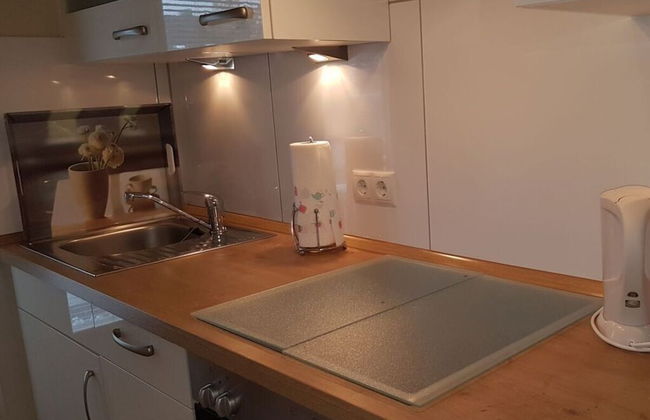 Herring Gull - Foto 4