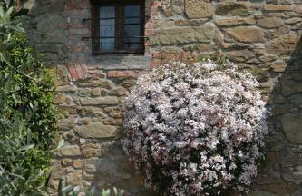 Agriturismo Borgo La Casetta - Foto 40