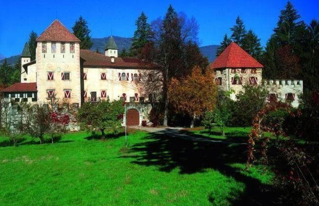 Agritur Pisani - Foto 44