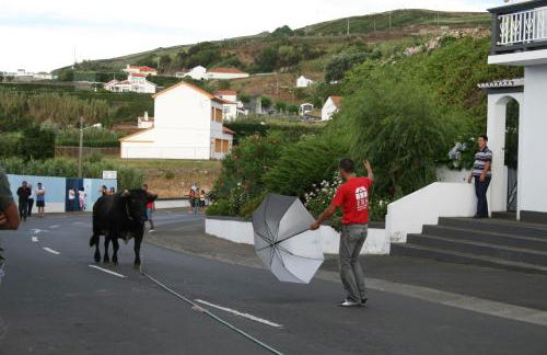 Quinta Rico - Photo 55