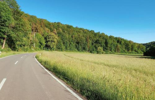 Blaustein Loft - Foto 6