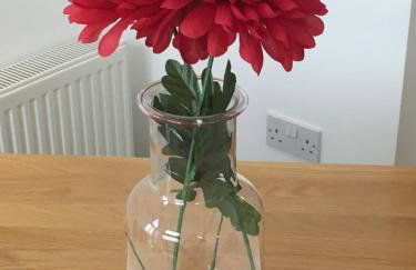 Swansea Bay, Marina, Swansea Arena, Beach & City - Foto 74