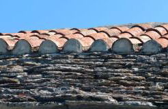 Les Fleurs de Marie - Photo 11