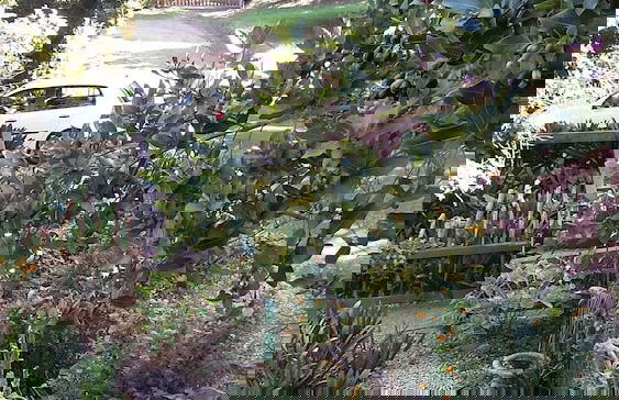 Treehouse Cottage - Foto 17