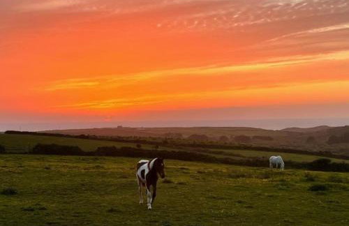 1 Bed in Penzance oc-henst - Foto 17