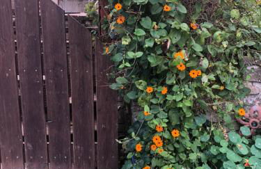 Im kleinen Paradies - Foto 19