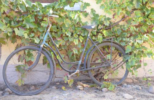 Ferienwohnung Nähe Dahme-Mark - Photo 13