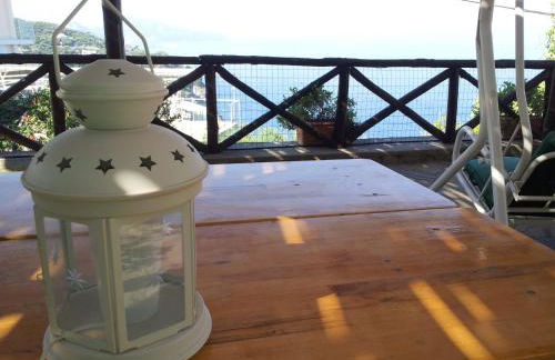 Tessa's Holiday - Photo 7