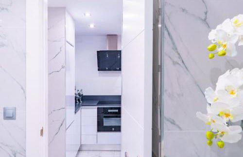 Apartamento Edificio Ricardo - Foto 34